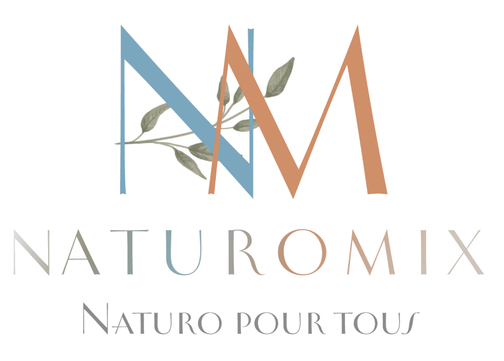Naturomix